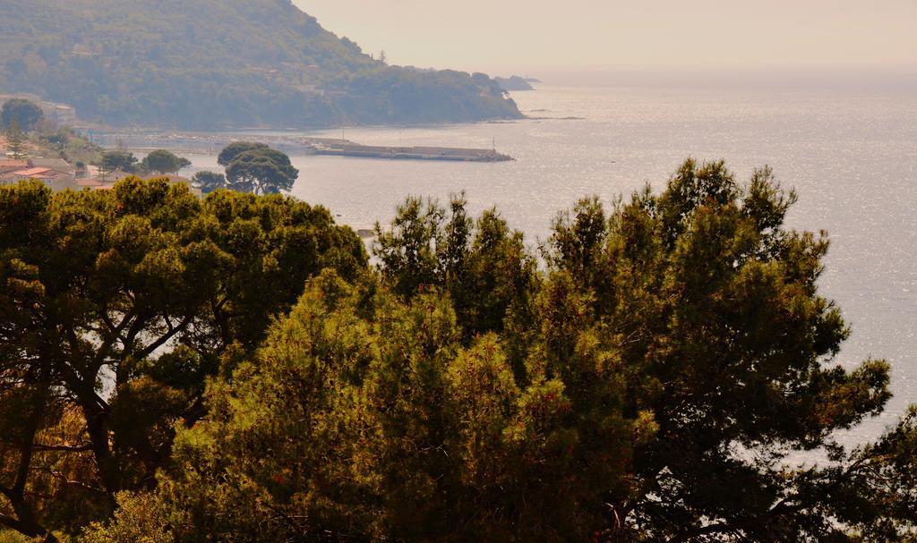 Villa Laura Sea View Apartments Santa Maria di Castellabate Εξωτερικό φωτογραφία